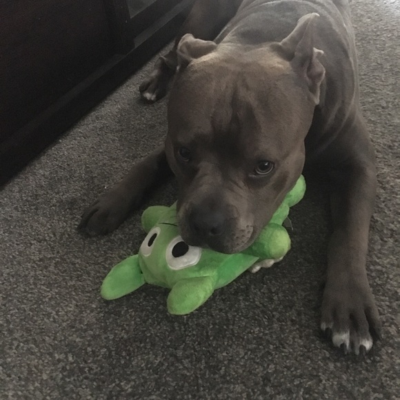 Meet your Posher, Christina - Picture 1 of 1